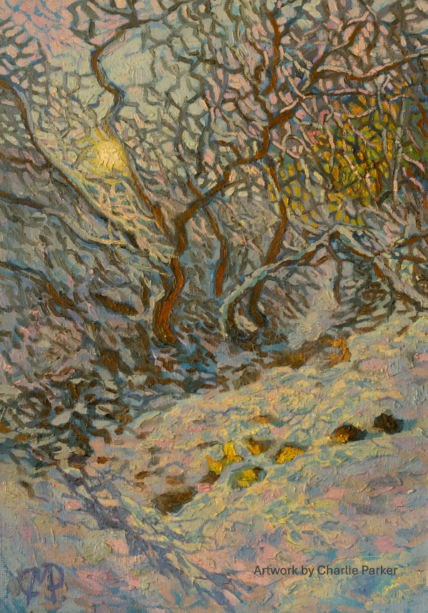 Forest Snow 1 (6000 x 4000) 63.png