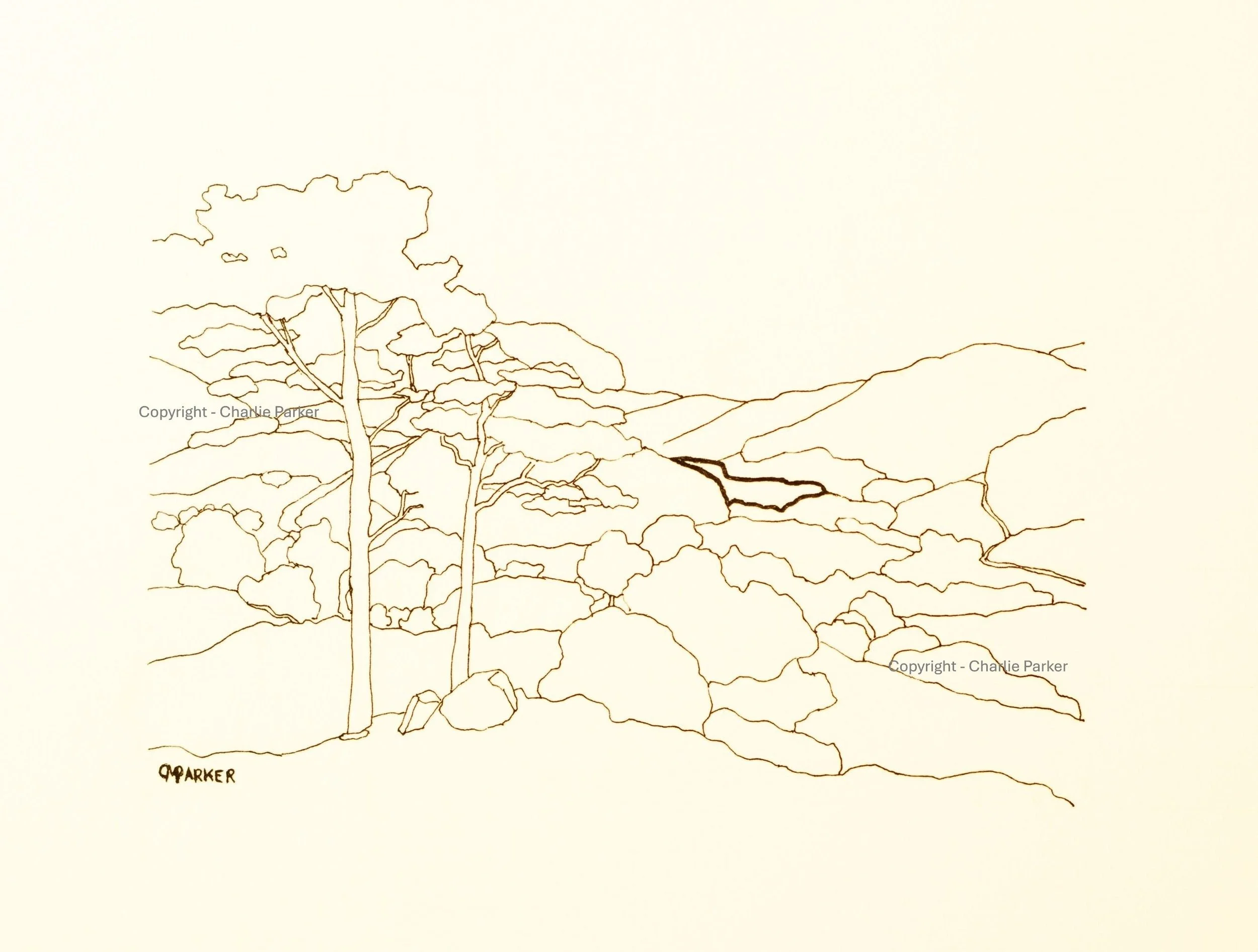 206 Thirlemere from High Rigg. 2023, Ink. Dimensions - 16cm x 12cm. For Sale.
