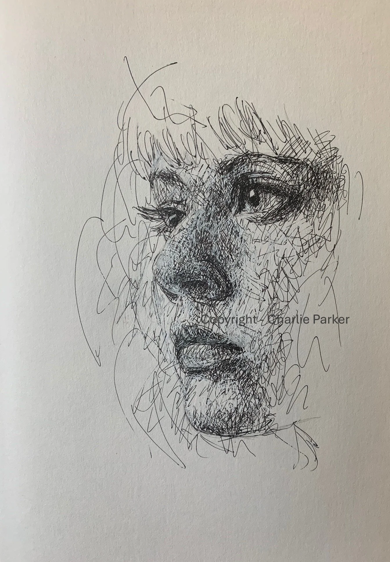 438. Study in profile. 2022. Ink. Dimensions - 23cm x 30cm. For Sale.