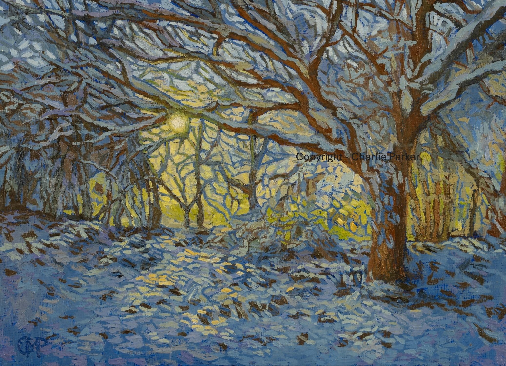 15. Great Wood in winter, 2025, Oils. Dimensions 23cm x 30cm. For Sale.