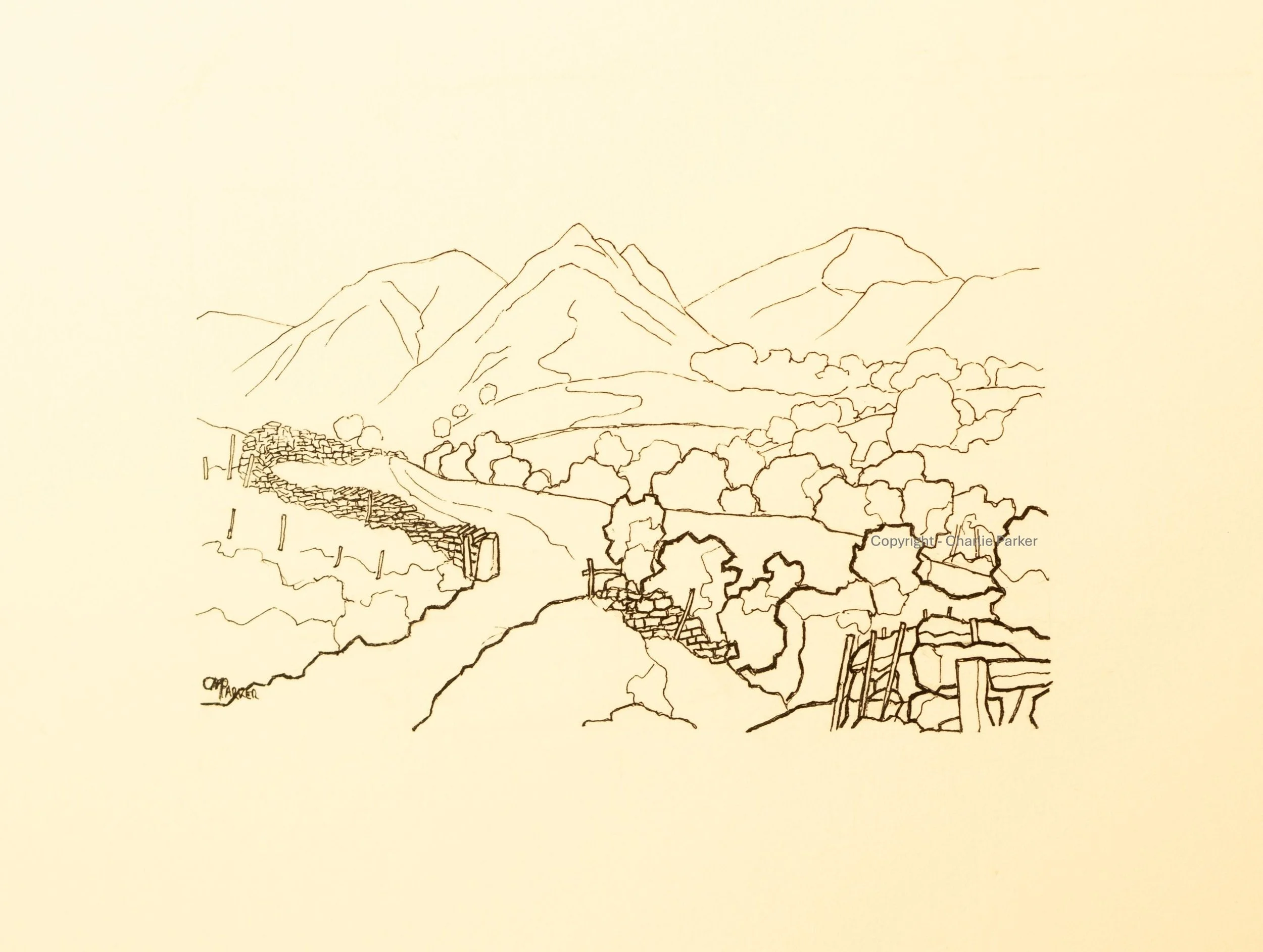 214. Hindscarth. 2024, Ink. Dimensions - 16cm x 12cm. For Sale.