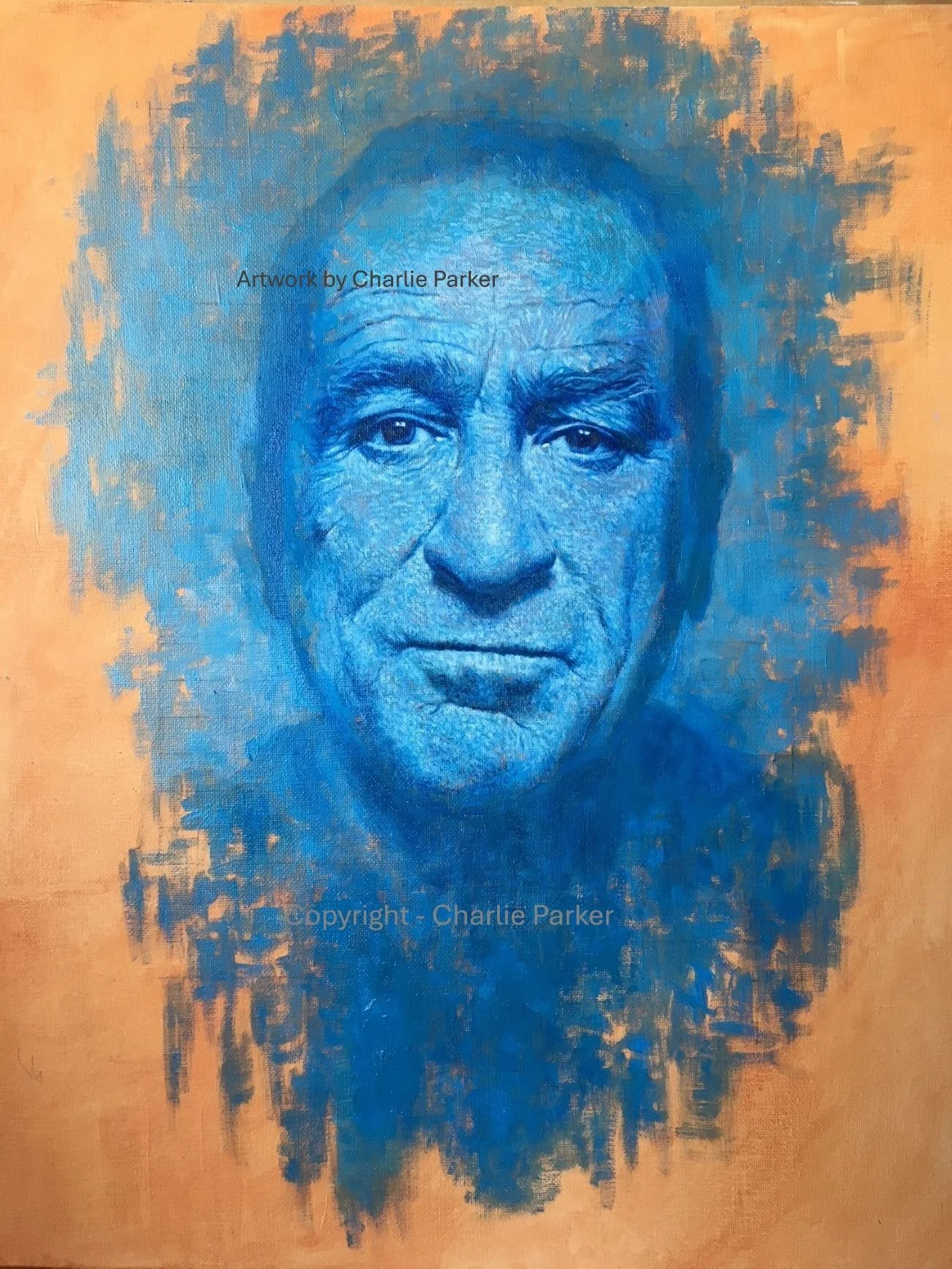 312. Robert. 2016, Oils, Dimensions - 50cm x  60cm. Sold.