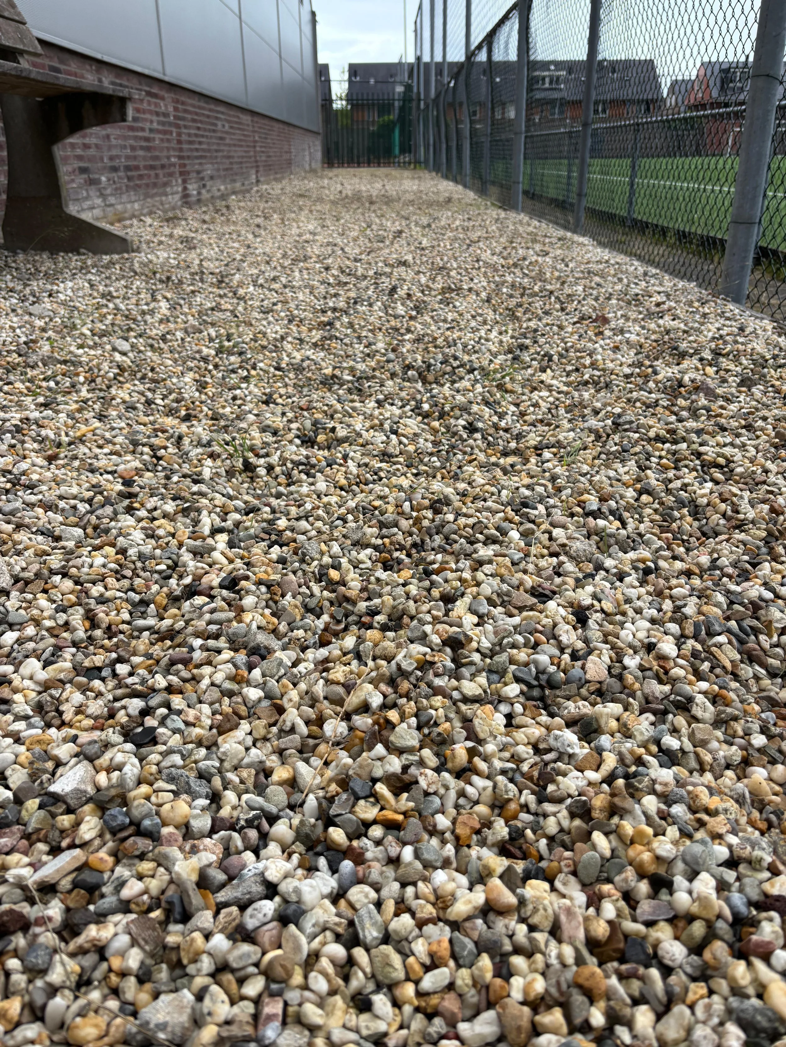 WhatsApp Image 2025-11-04 at 16.07.57.jpeg