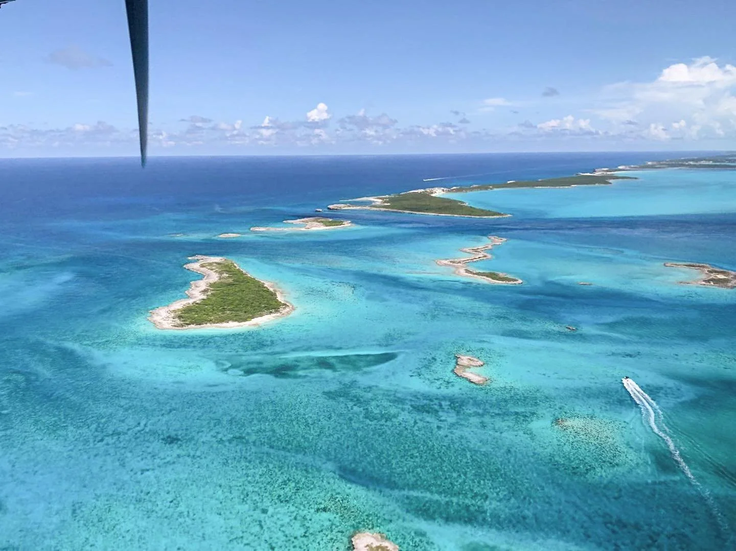 As promised, over the weekend a newsletter was sent with the most recent updates. If you didn't get on the list in time, you can still check out the most recent blog post &ldquo;A New Appreciation for my Island Home.&rdquo; Check it out by following 