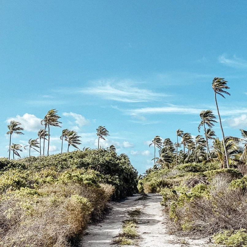 &quot;Two roads diverged in a wood, and I took the one less traveled by, and that has made all the difference.&quot; - Robert Frost
.
Do you prefer the road less traveled by?
.
.
.
.
.
.
.
.
#bahamas #outislands #eleuthera #roadlesstraveled #offthebe