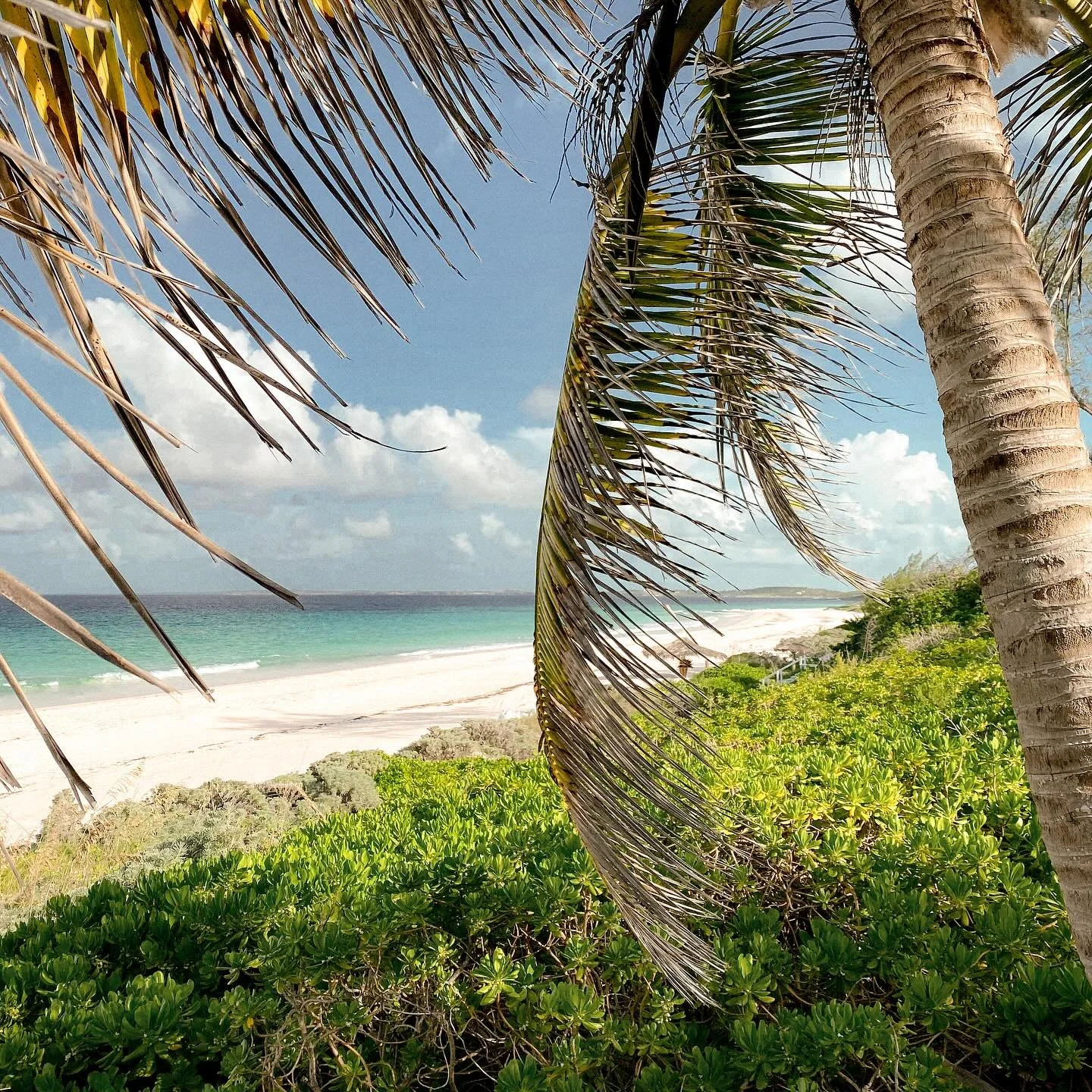 Where have we been? We aren&rsquo;t sure how the time has sailed by so quickly, but it has. The goal is to get back into sharing information for those looking to buy, build, and relocate to the Bahamas. We&rsquo;ve spent the past month rebuilding the