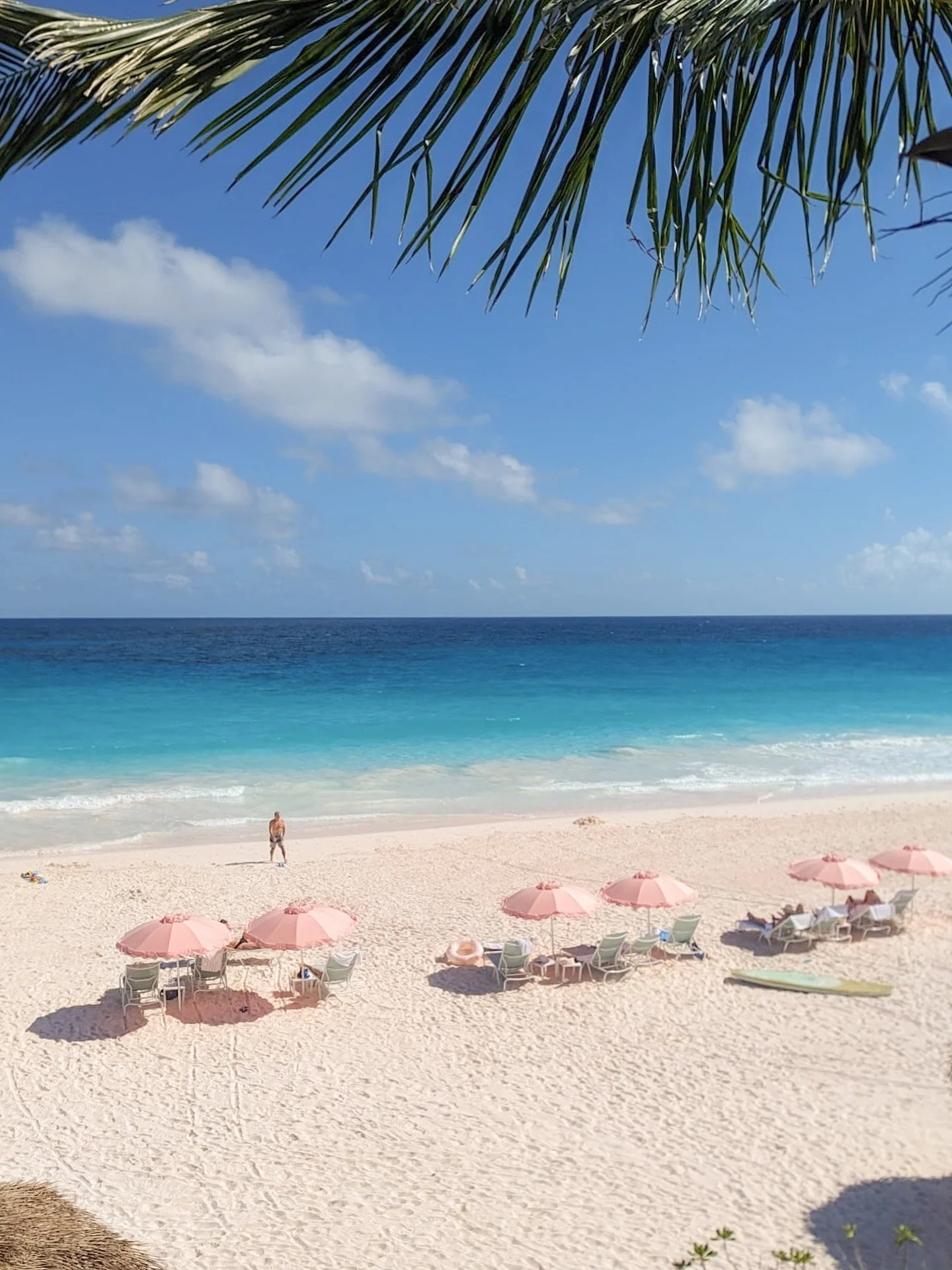 How December in the Bahamas feels ☀️🌴 

#bahamas #outislandlife #outislands #harbourisland #harbourislandbahamas #pinksandbeach #eleuthera #itsbetterinthebahamas