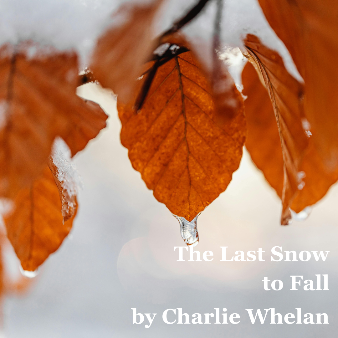 Copy of The Last Snow To Fall.png