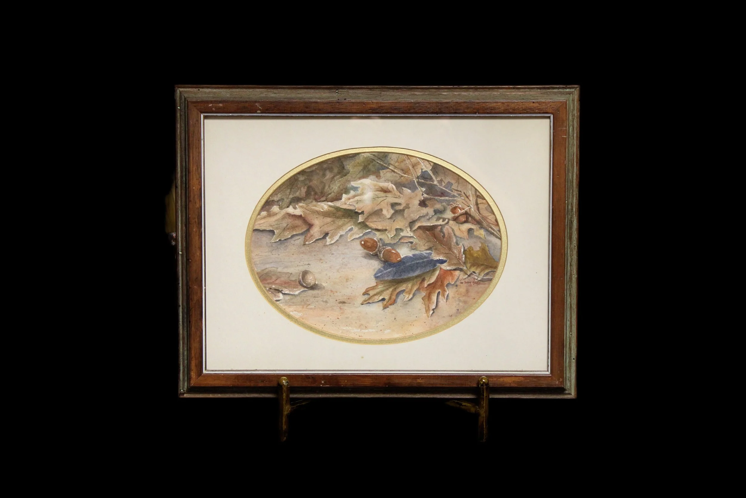 Acorns
Frame: 18 1/3in x 14 1/3in 
Painting: 11 1/4in x 8 1/2in 