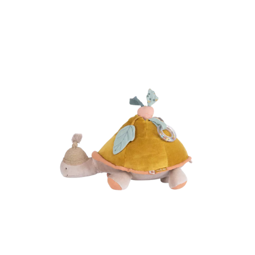 Tort2.png