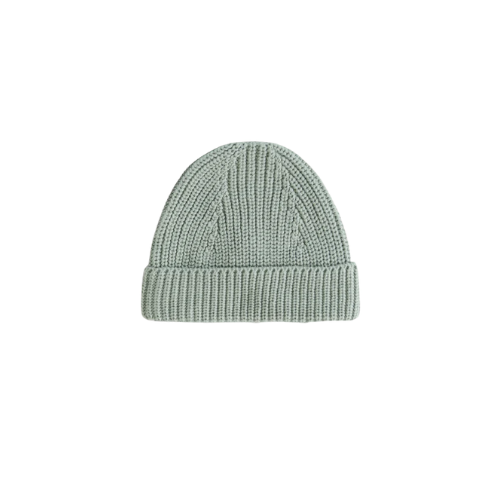 Beanie1.png
