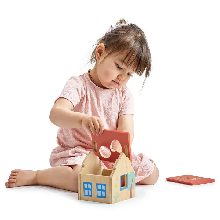 shape-sorter-house-mt7116-168623_720x.webp