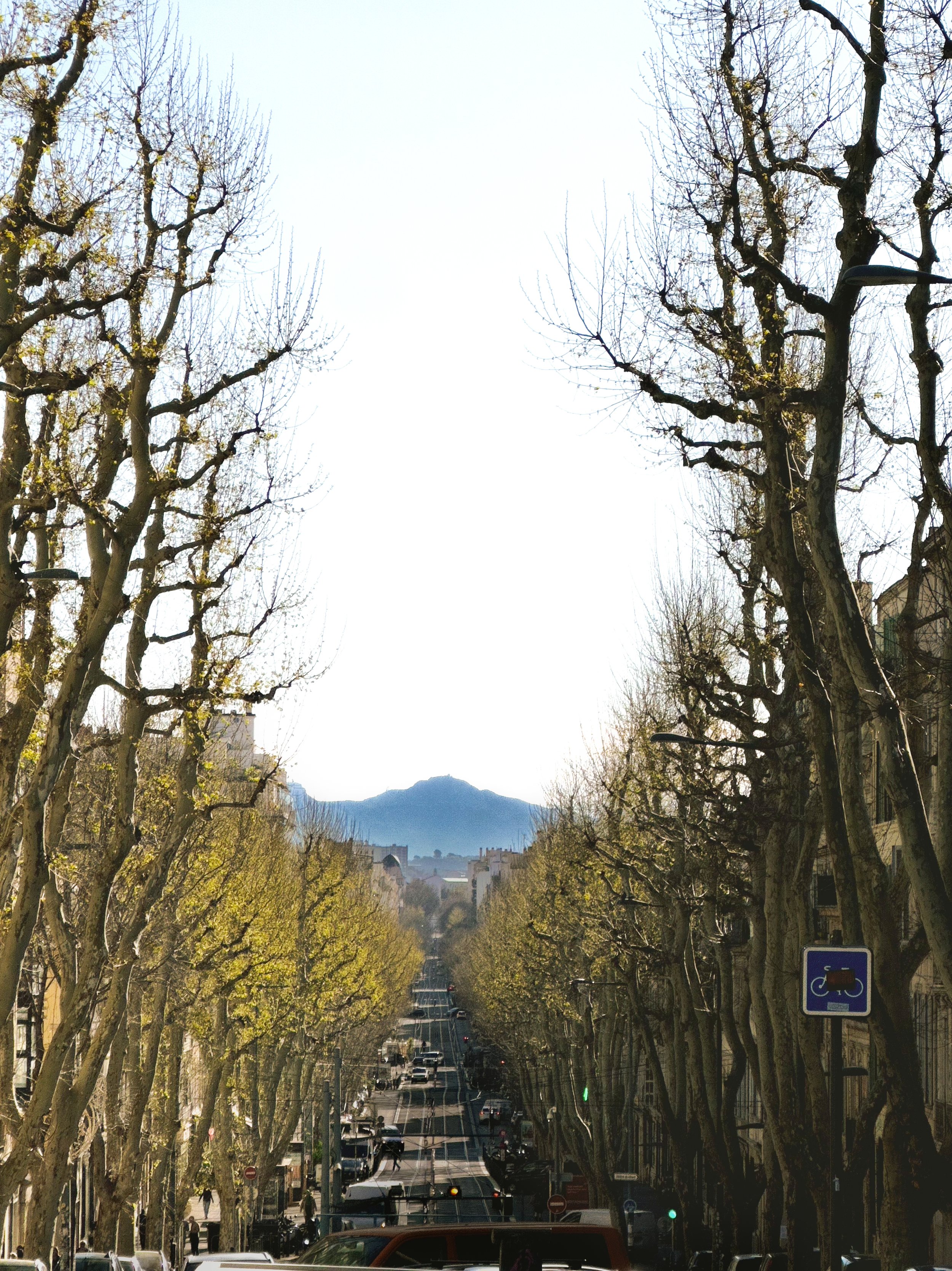 A city street lined with leafless trees, cars parked on both sides, and a mountain in the background under a bright sky.