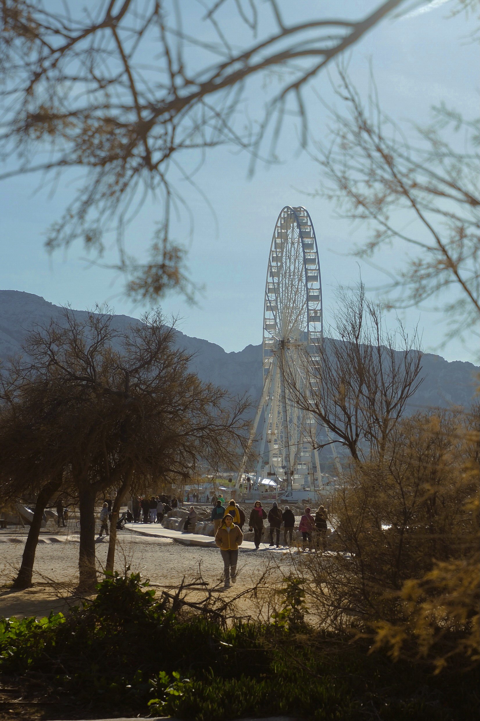 People walking in a park with trees, mountains in the background, and a large Ferris wheel.