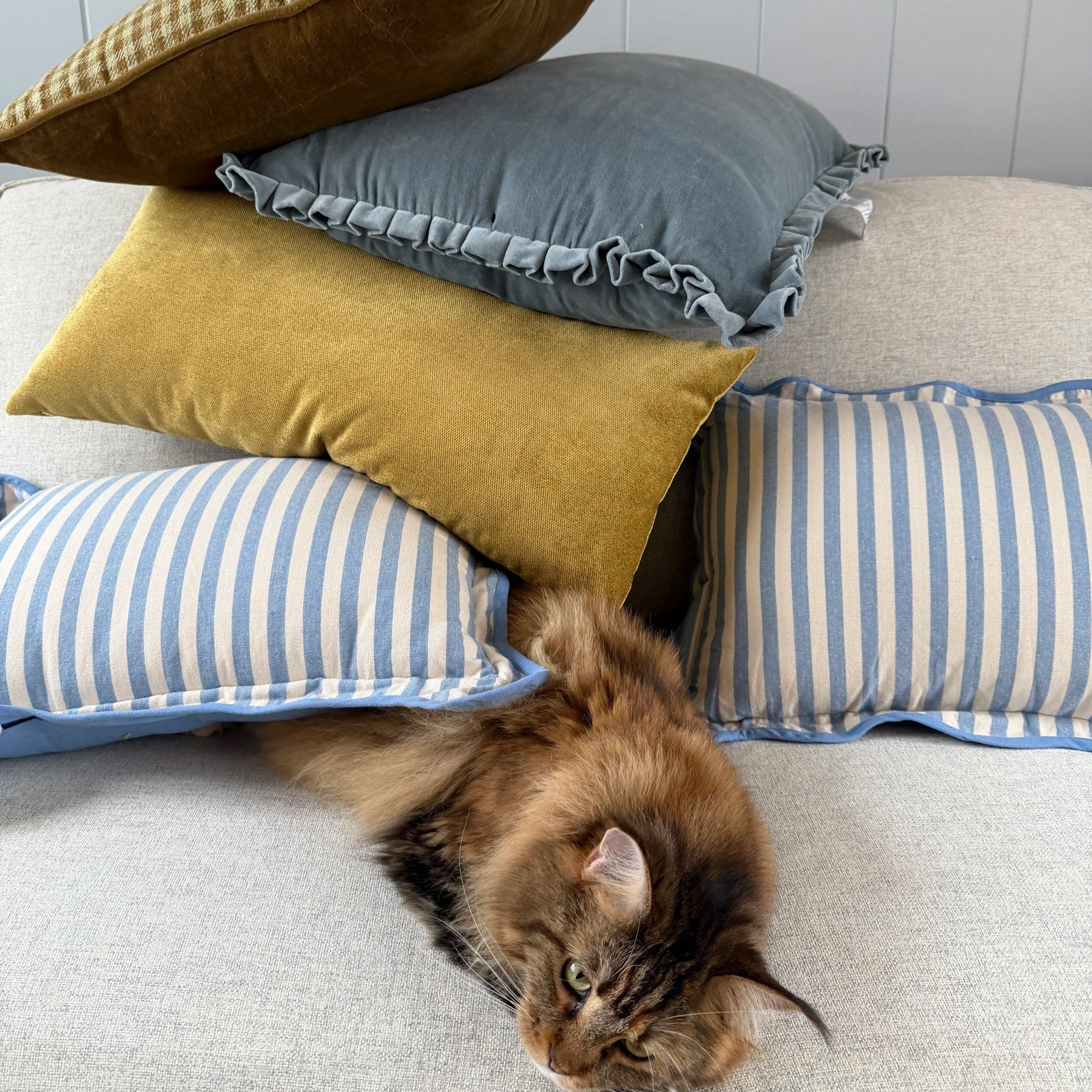 A living room sofa with multiple stacked decorative pillows and a resting long-haired brown tabby cat underneath.