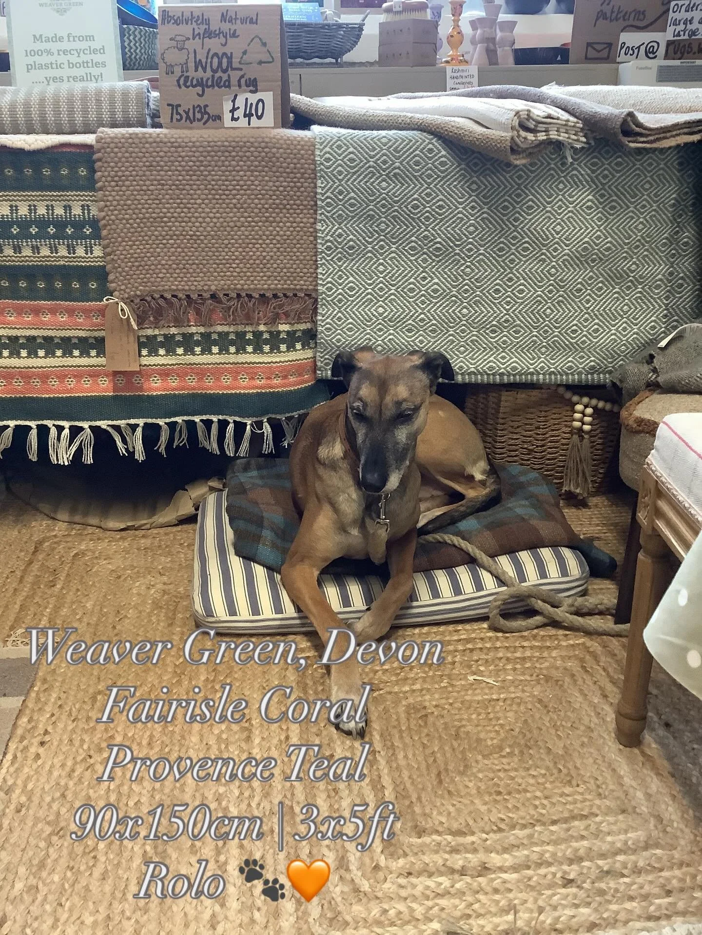 Good morning. Bore da. :)

Today&rsquo;s selection of #rugs in stock at the siop shop. Orders taken to size up or down. ✏️

New in for a new year refresh, coir doormats. #outwiththeoldinwiththenew🎉 

And, in readiness for tomorrow&rsquo;s #cardiganf