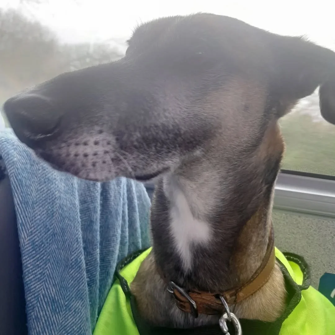 We've made it, and will be open until 4pm today. We hope to see you. 😊

#rugshop #ethicallymade #cardigan #aberteifi