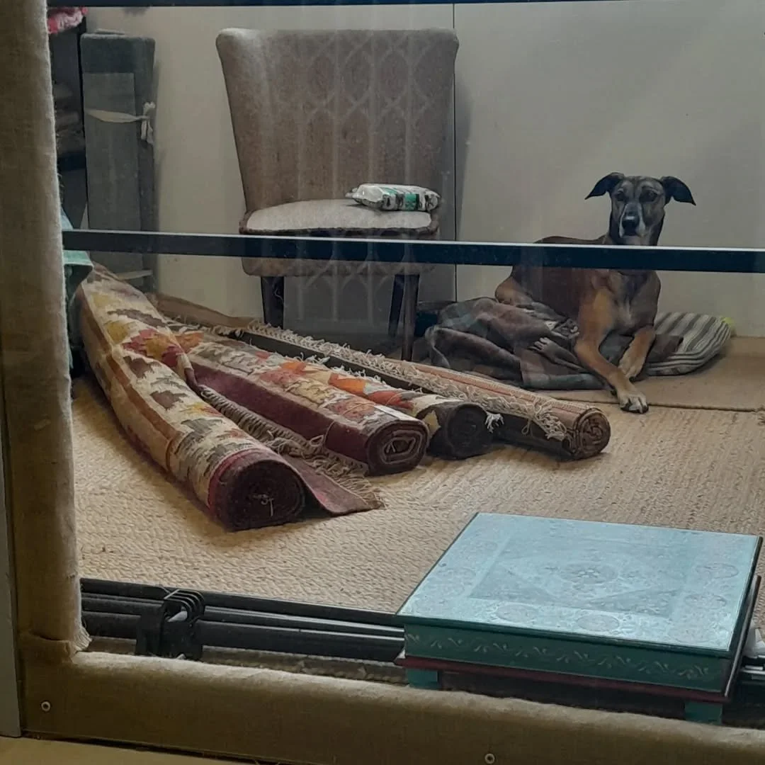 Bore da. Happy Saturday, and peek-a-boo through our new display window. 🪟

I've had a refresh of displays, and the large kilim rugs are out for you to see. 👀  And just look at the Ian Snow table. 😍

Open today until 4pm in the shop, and will be po