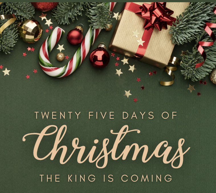 A PEOPLE WHO LOOK UP