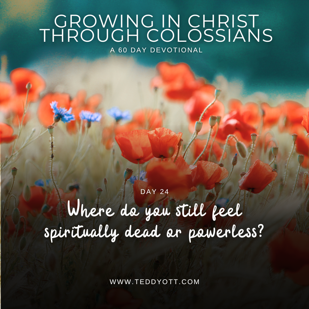 Alive in Christ