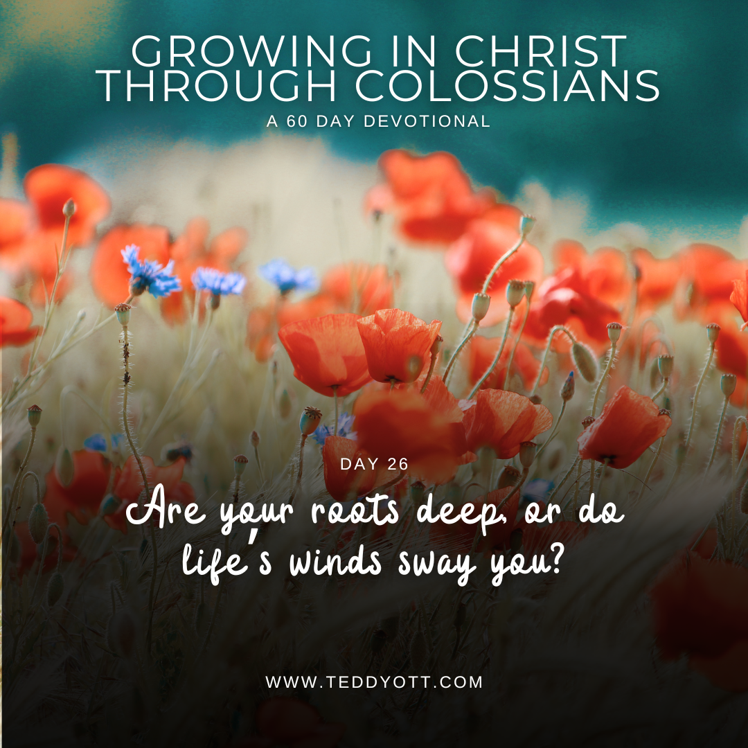 The Fullness of God