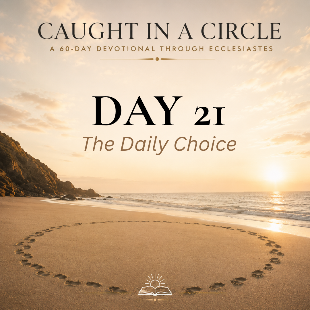 The Daily Choice