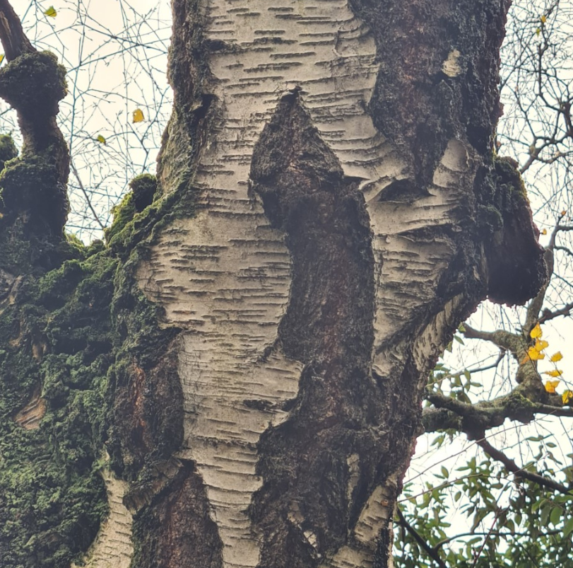 Initial Inspiration for Stand &amp; Deliver Project