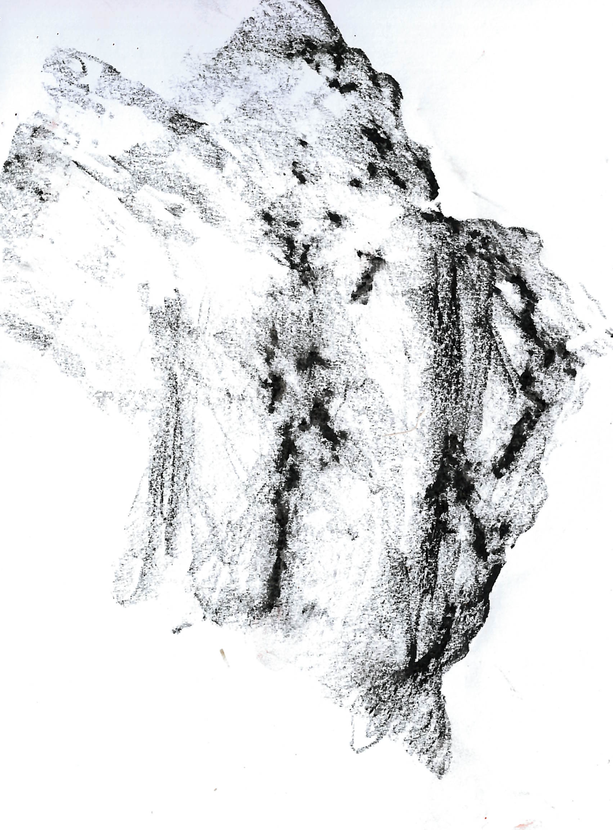 Finding Form Through The Land