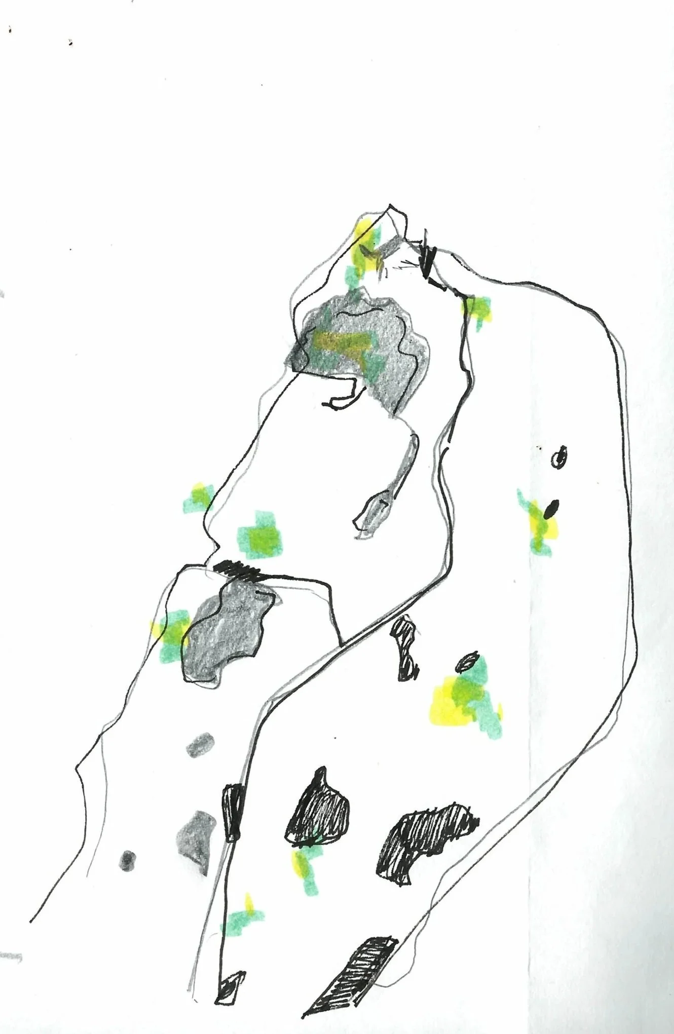 scan_8.jpg