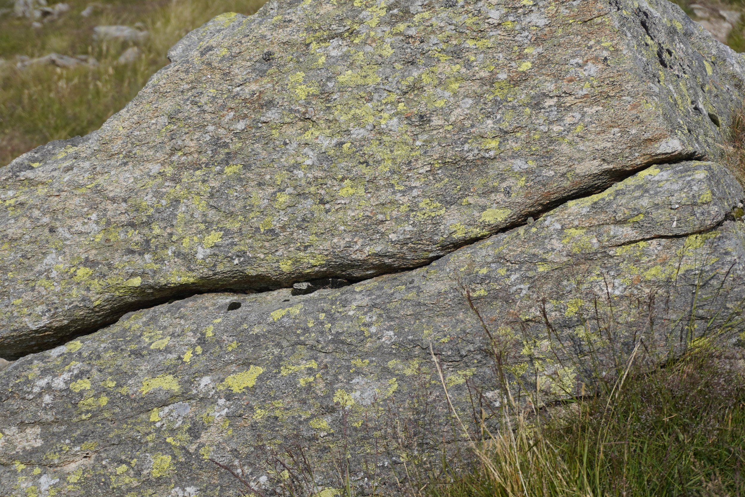 _DSC9511.JPG