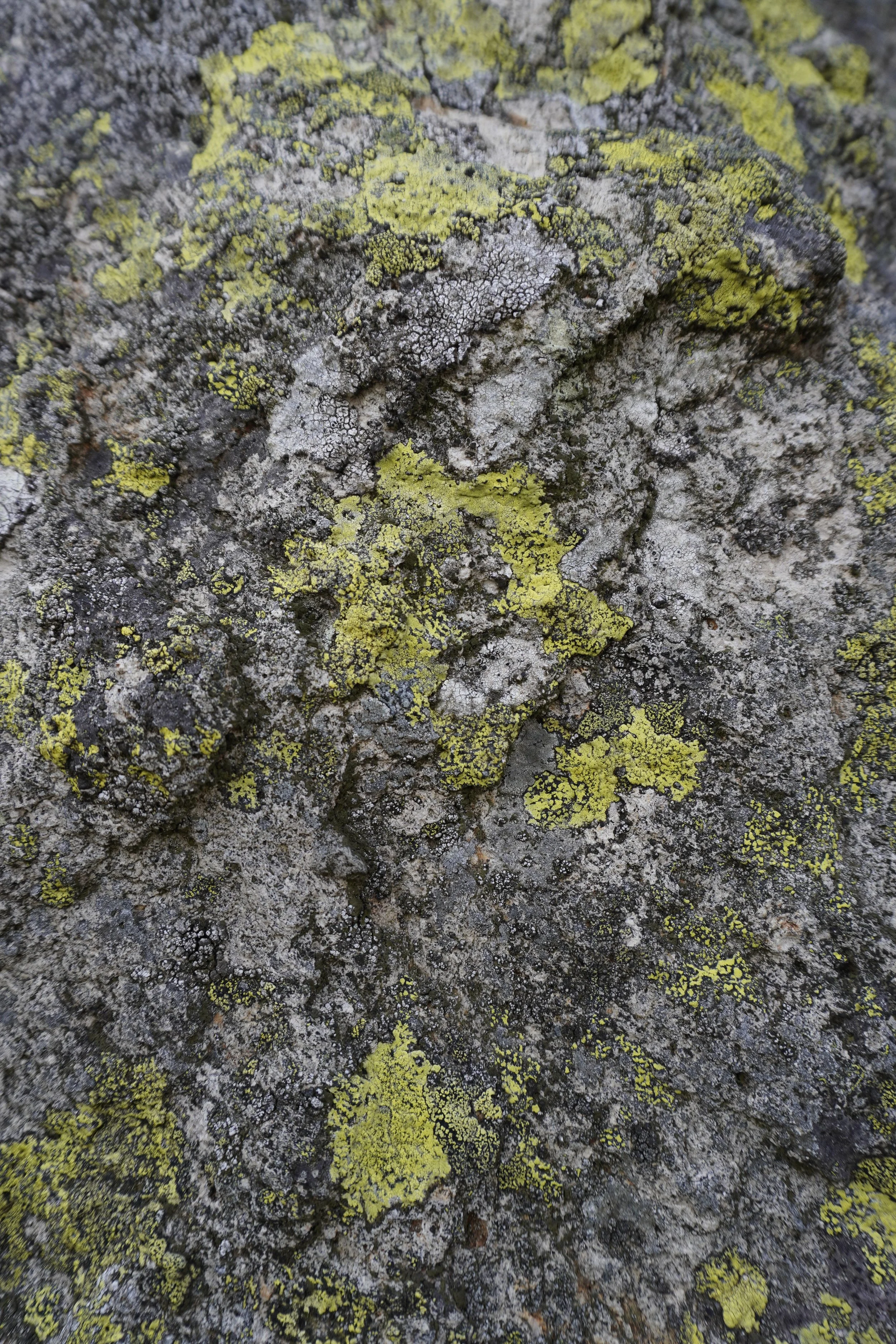 _DSC9550.JPG