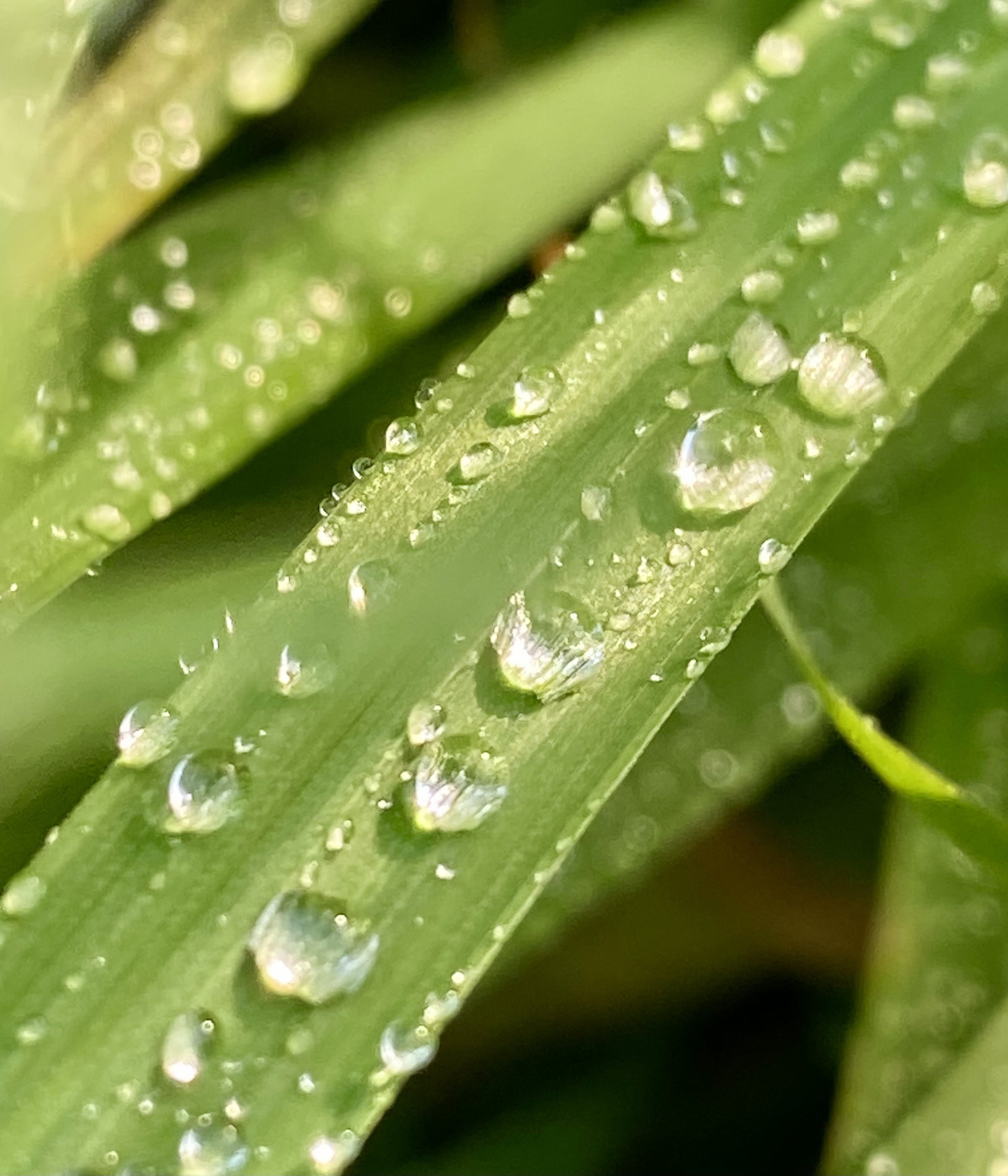 Hypnotherapy sessions -  6 week package