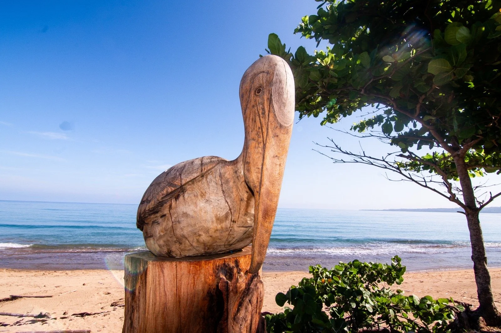 Playas para Surfear