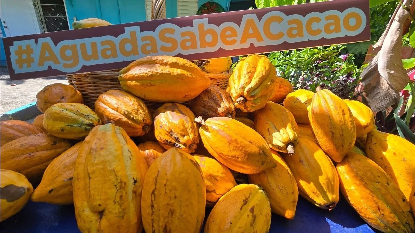 Ruta del Cacao