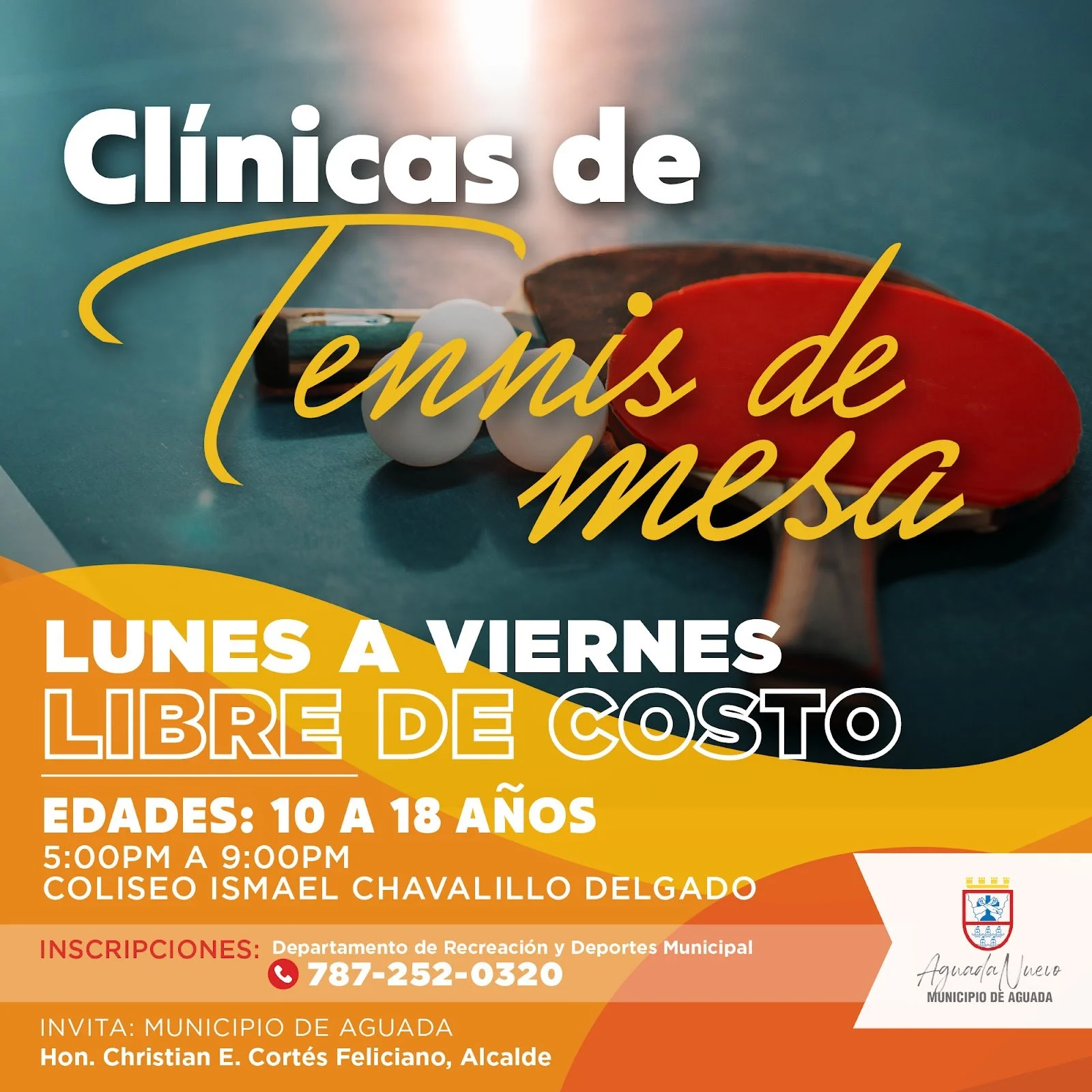 Clínicas de Tenis de Mesa