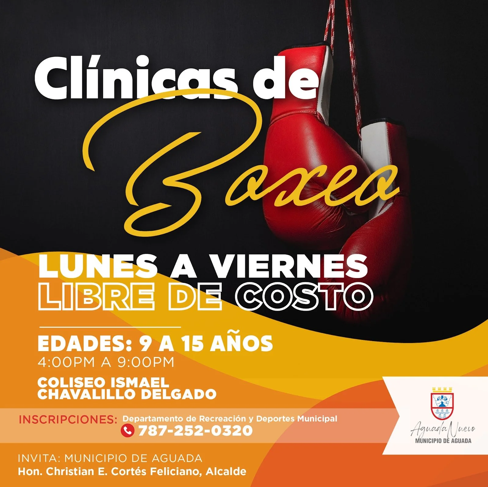 Clínicas de Boxeo