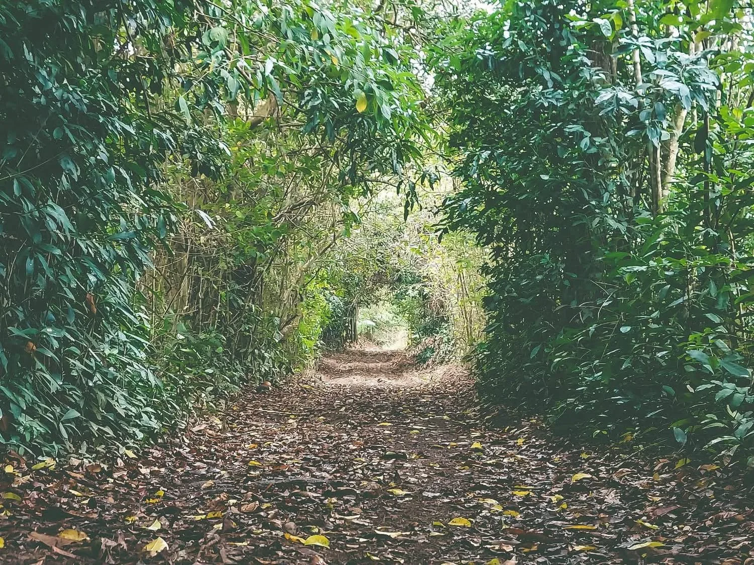 Camino de los Morteros