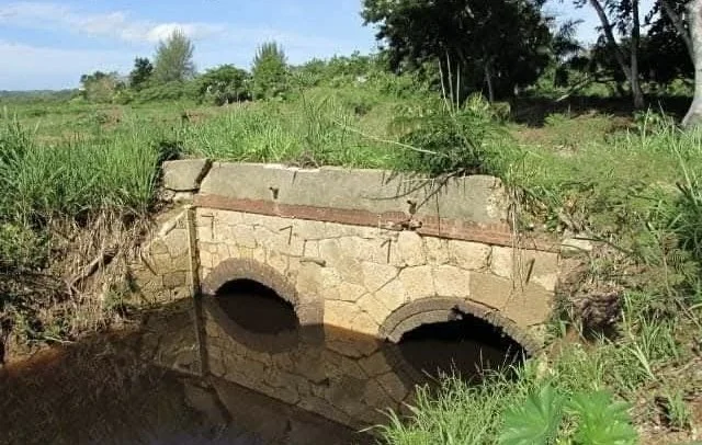 Pontón de Coloso