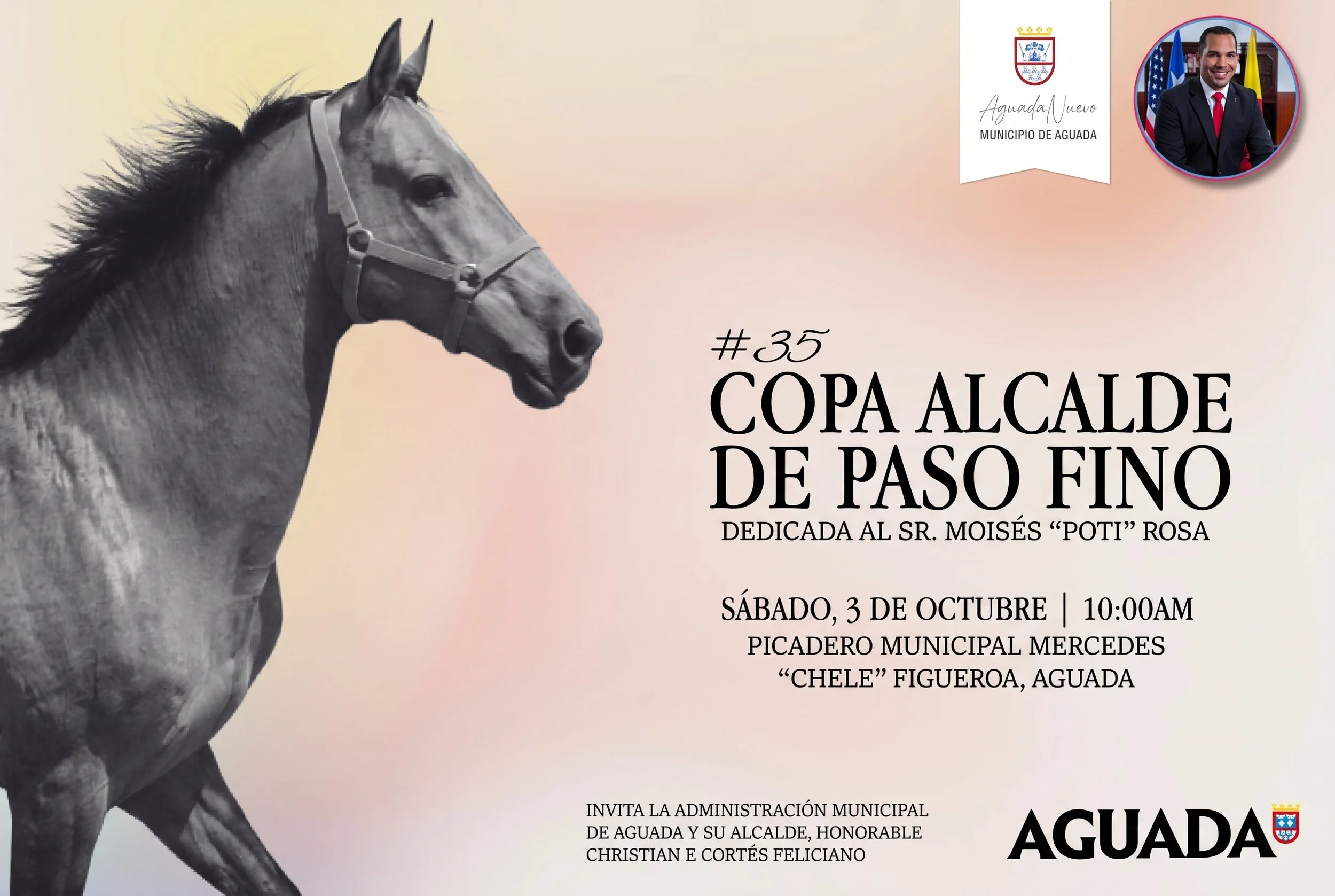 La 35ª Copa Alcalde de Paso Fino