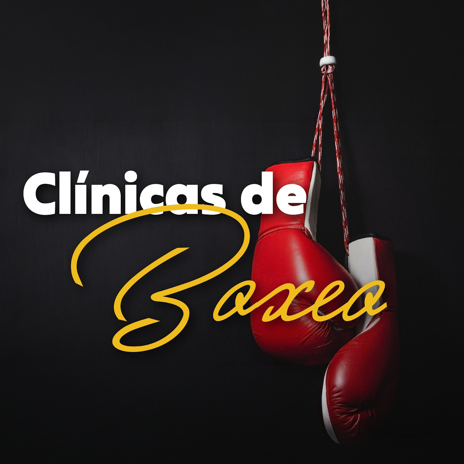 Clínicas de Boxeo