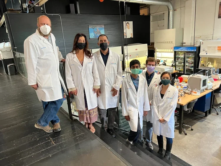 cureMEC hosts MEC nano-course