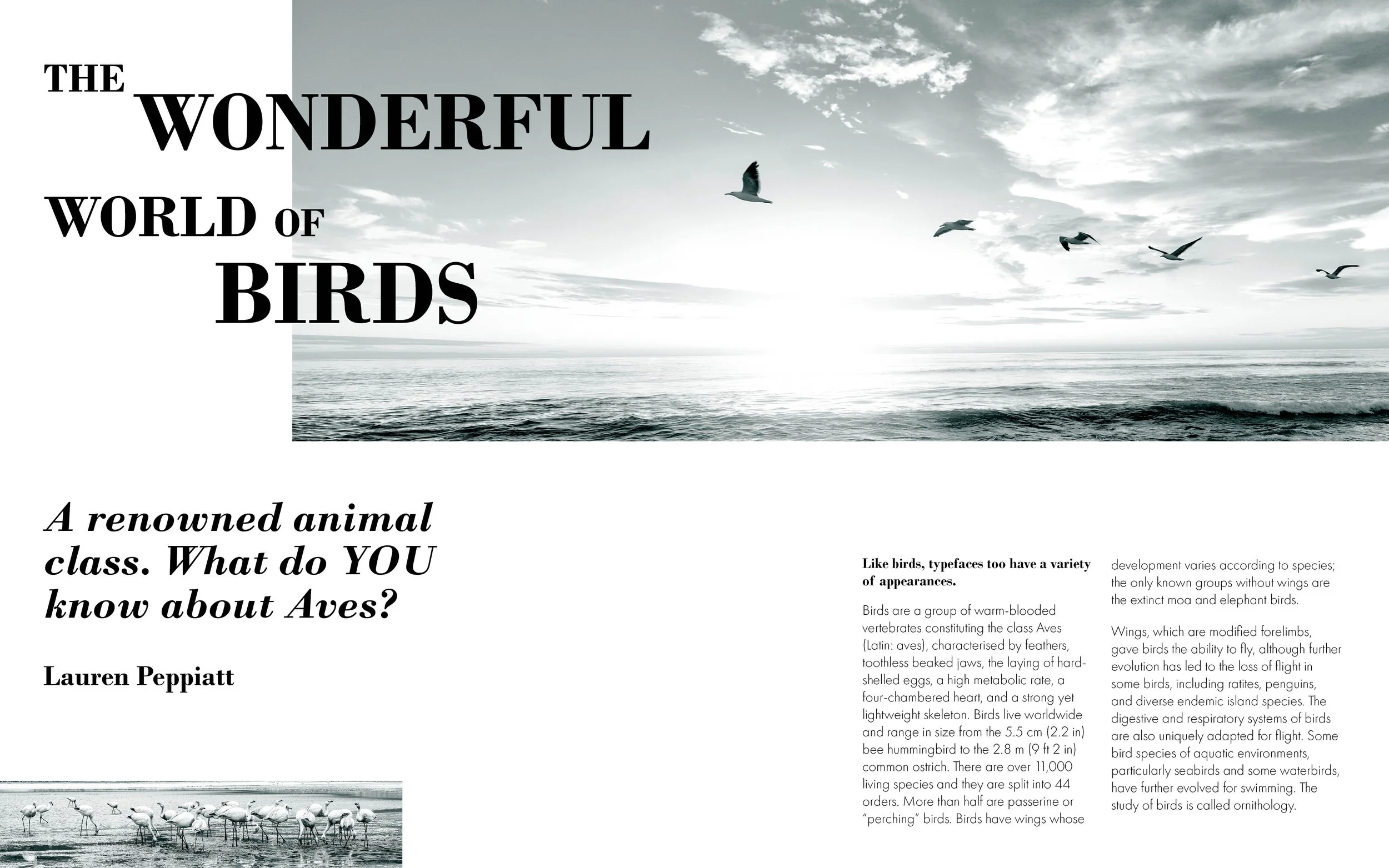 Wonderful World of Birds Spread 1
(March 2025)