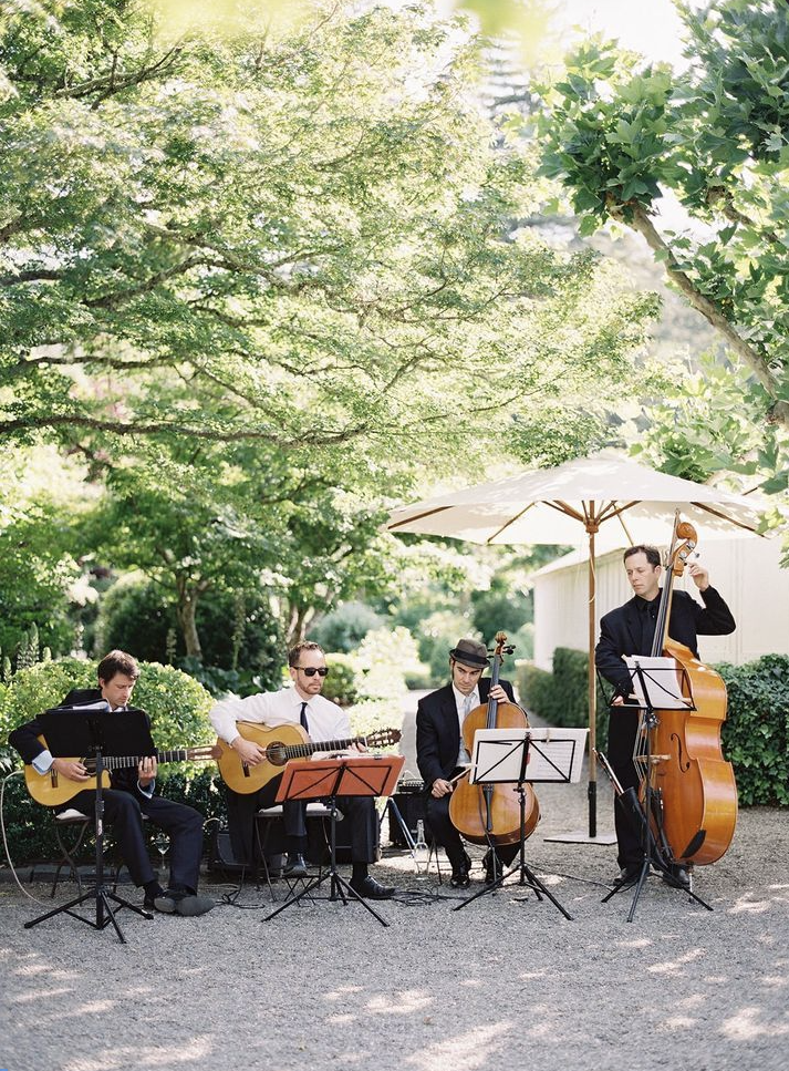Four musicians performing outdoors under a large umbrella, surrounded by green trees and bushes, with sunlight filtering through the leaves.