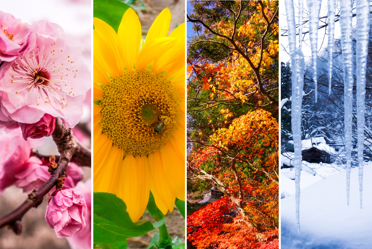 Insurance as a Seasonal Business Owner