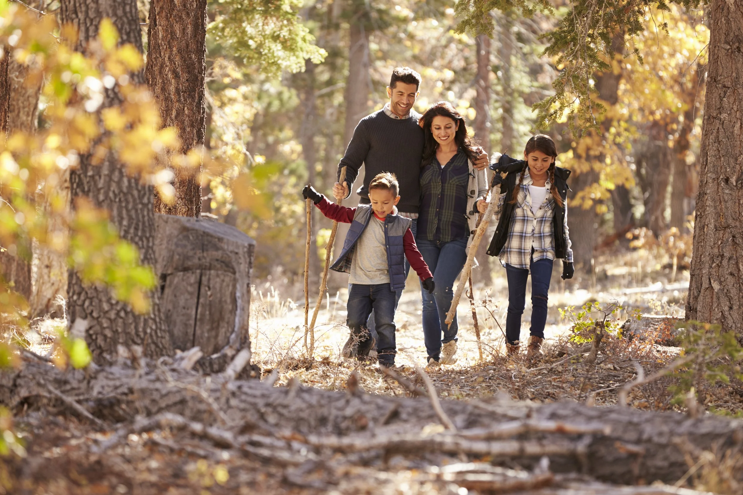 A family of four, with two children, walking together through a forest with tall trees and autumn foliage, enjoying a hike on a sunny day.
