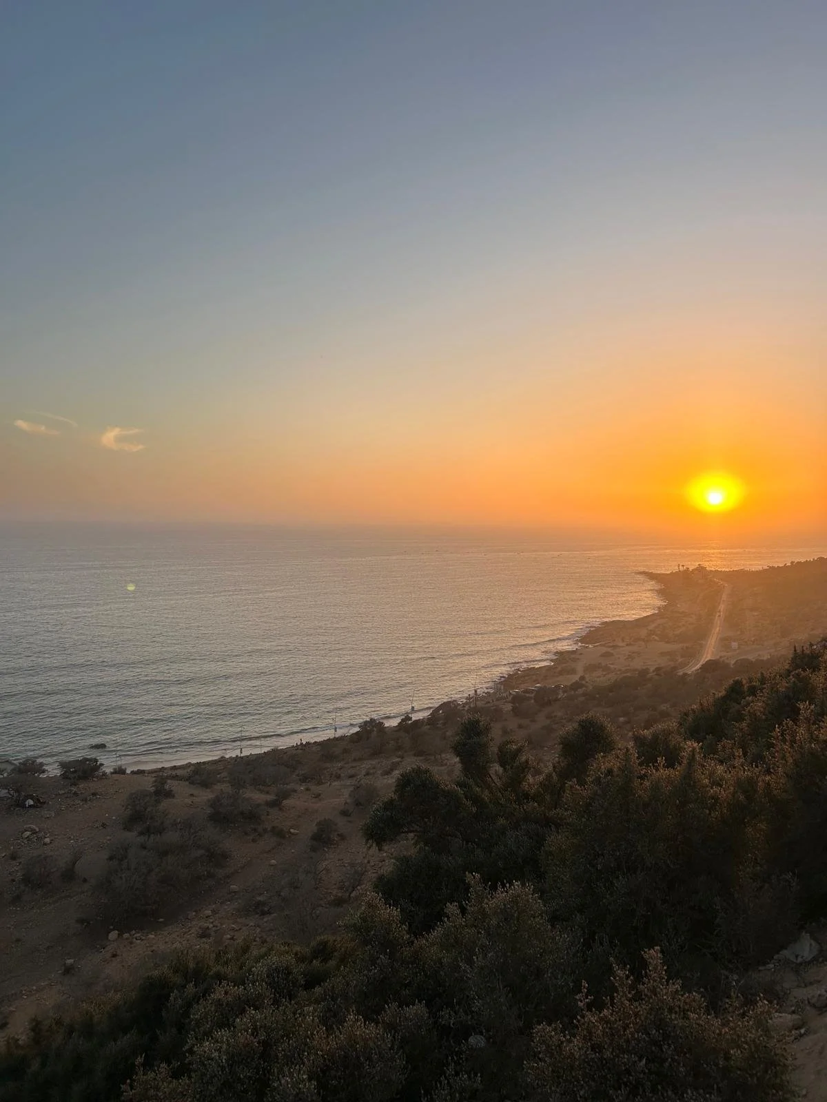 Sunset over a coastal landscape with a clear sky and ocean, with some trees and a dirt road in the foreground.