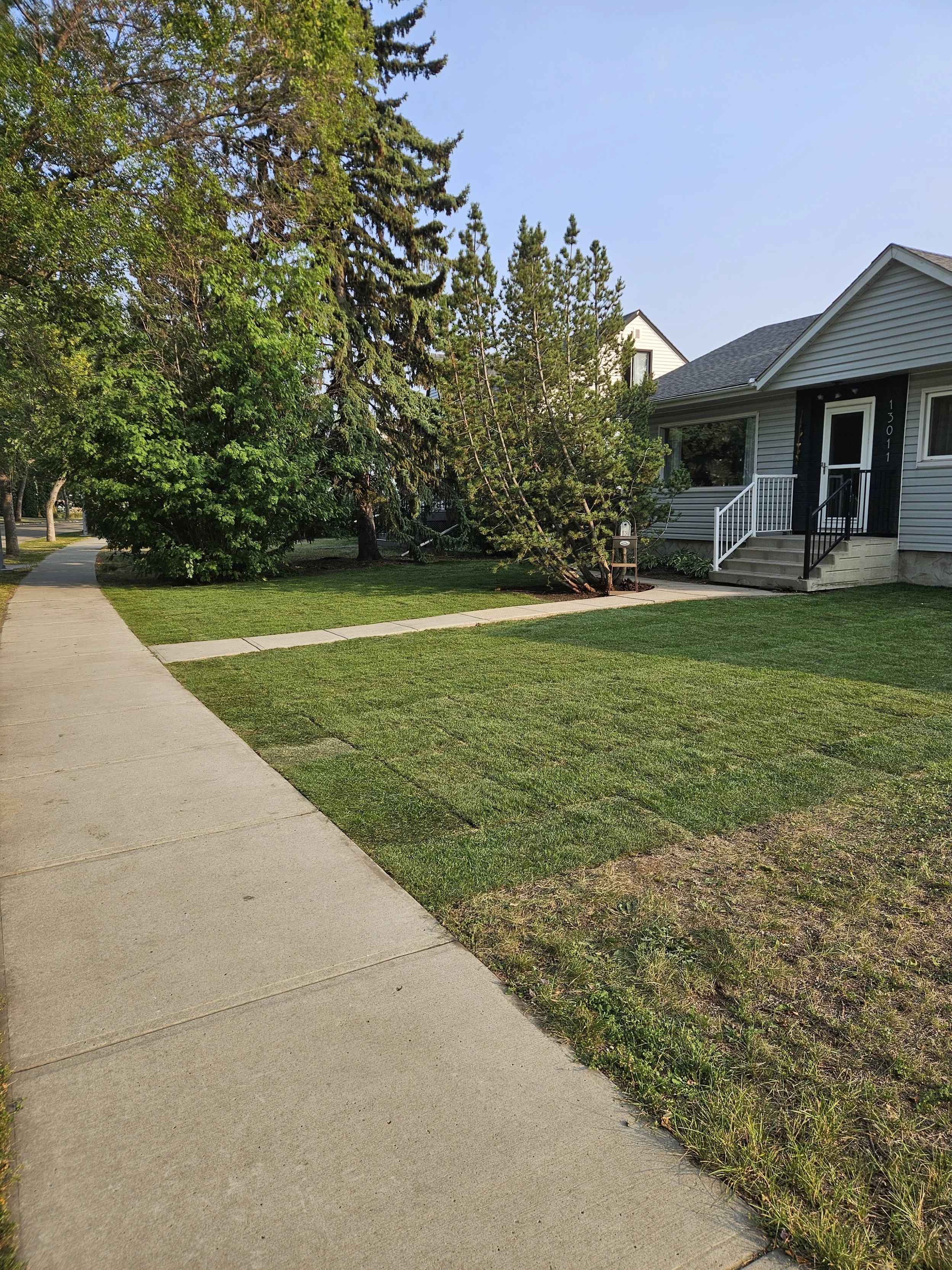 Residential front yard with a concrete sidewalk, green grass, trees, and a house with a porch and stairs.