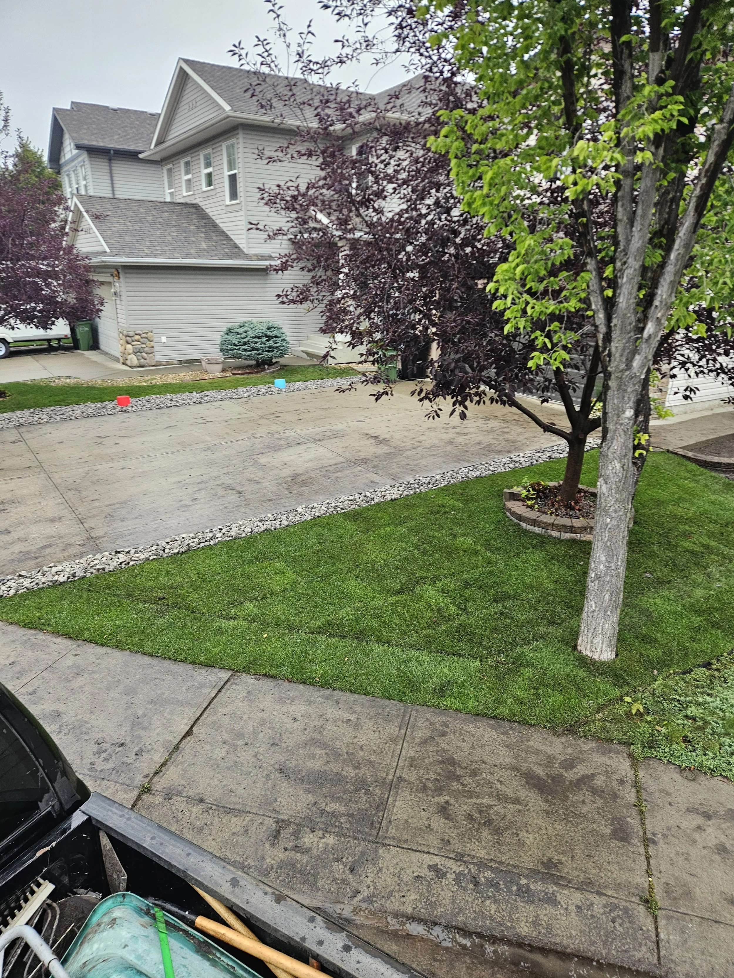 Front yard of a house with a concrete driveway, a small landscaped area with a tree in a brick border, green lawn, and trees with purple and green leaves. Part of a black truck with tools is visible in the foreground.