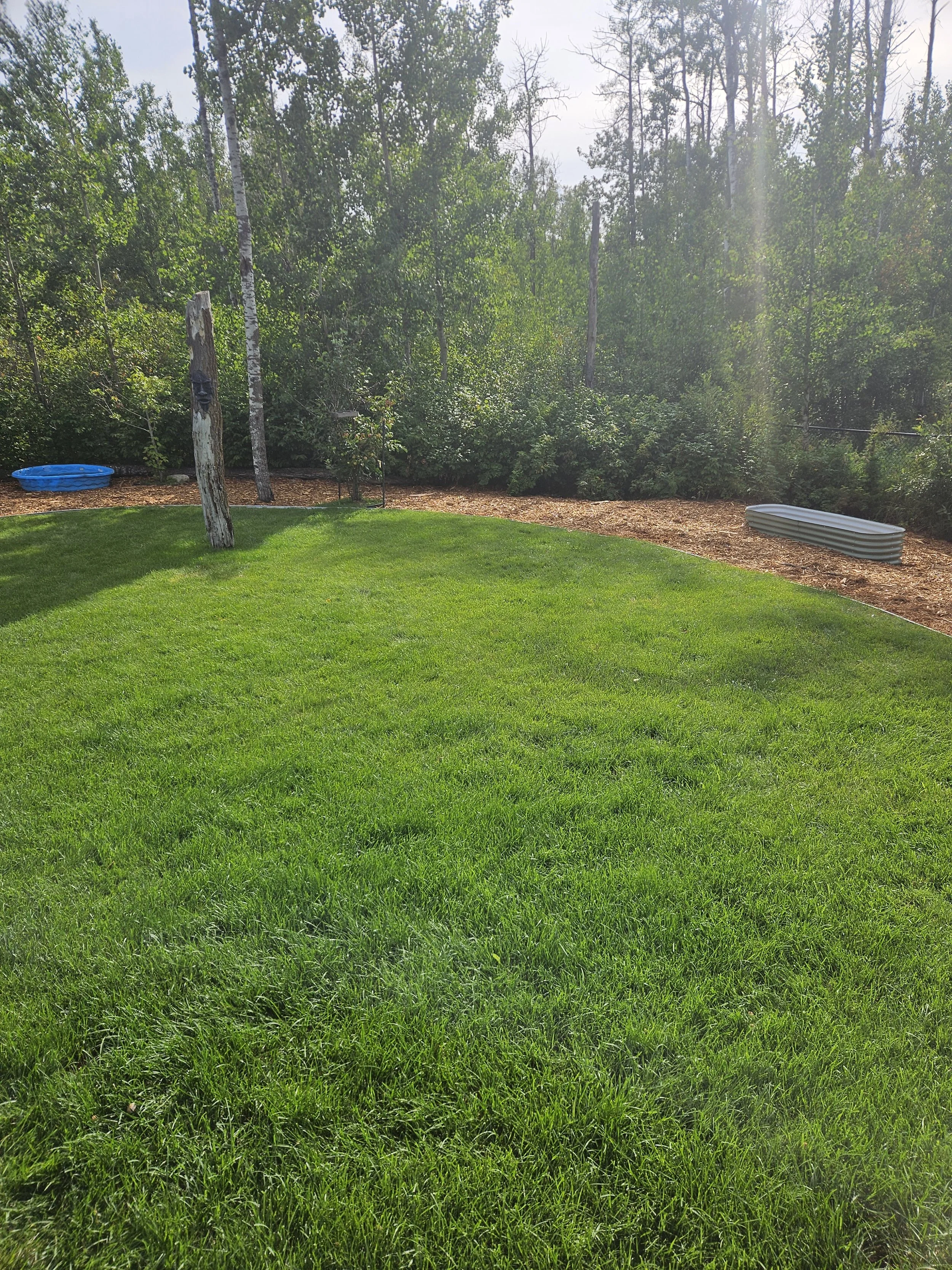 A backyard with a landscaped lawn, trees, and garden beds, including a blue plastic kiddie pool on the left and a curved metal garden bed on the right.