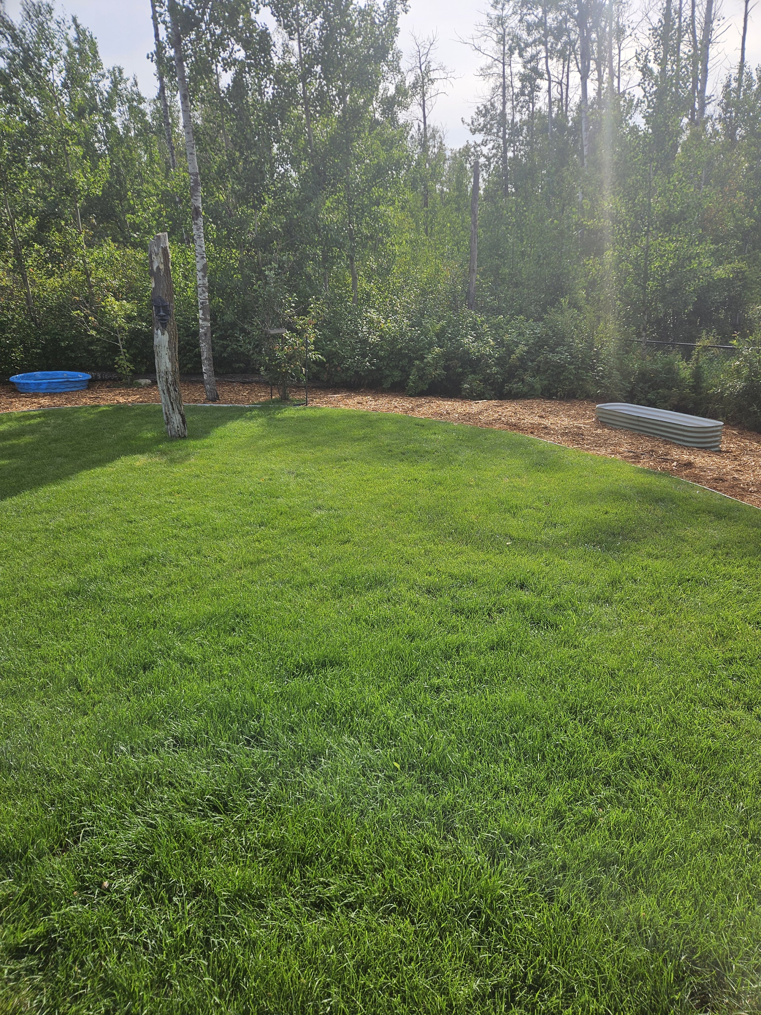 A backyard with green grass, trees, and two kiddie pools, one blue and one gray, on a sunny day.